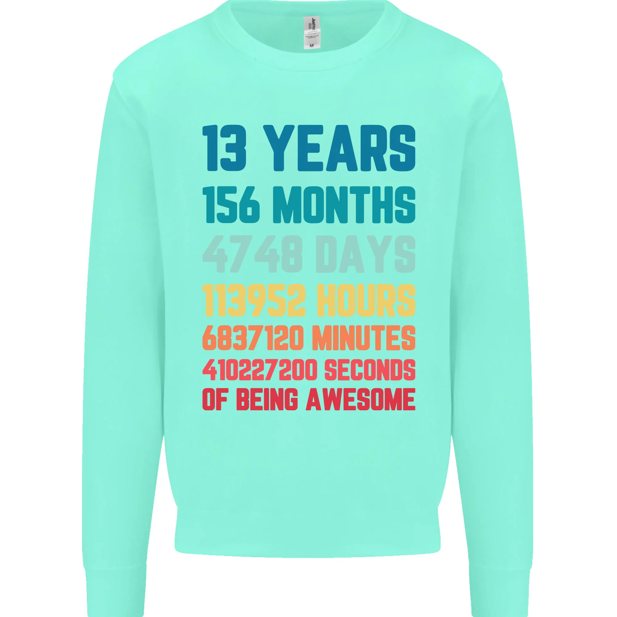 13th Birthday 13 Year Old Kids Sweatshirt Jumper