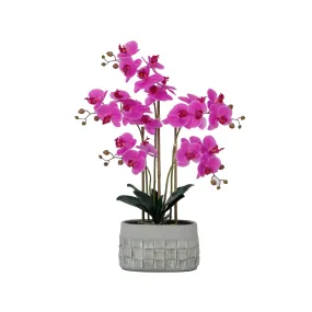 27" Purple Orchid Arrangement in a Grey Stonelike Planter | Real Touch Purple Moth Orchids in a Grey Planter