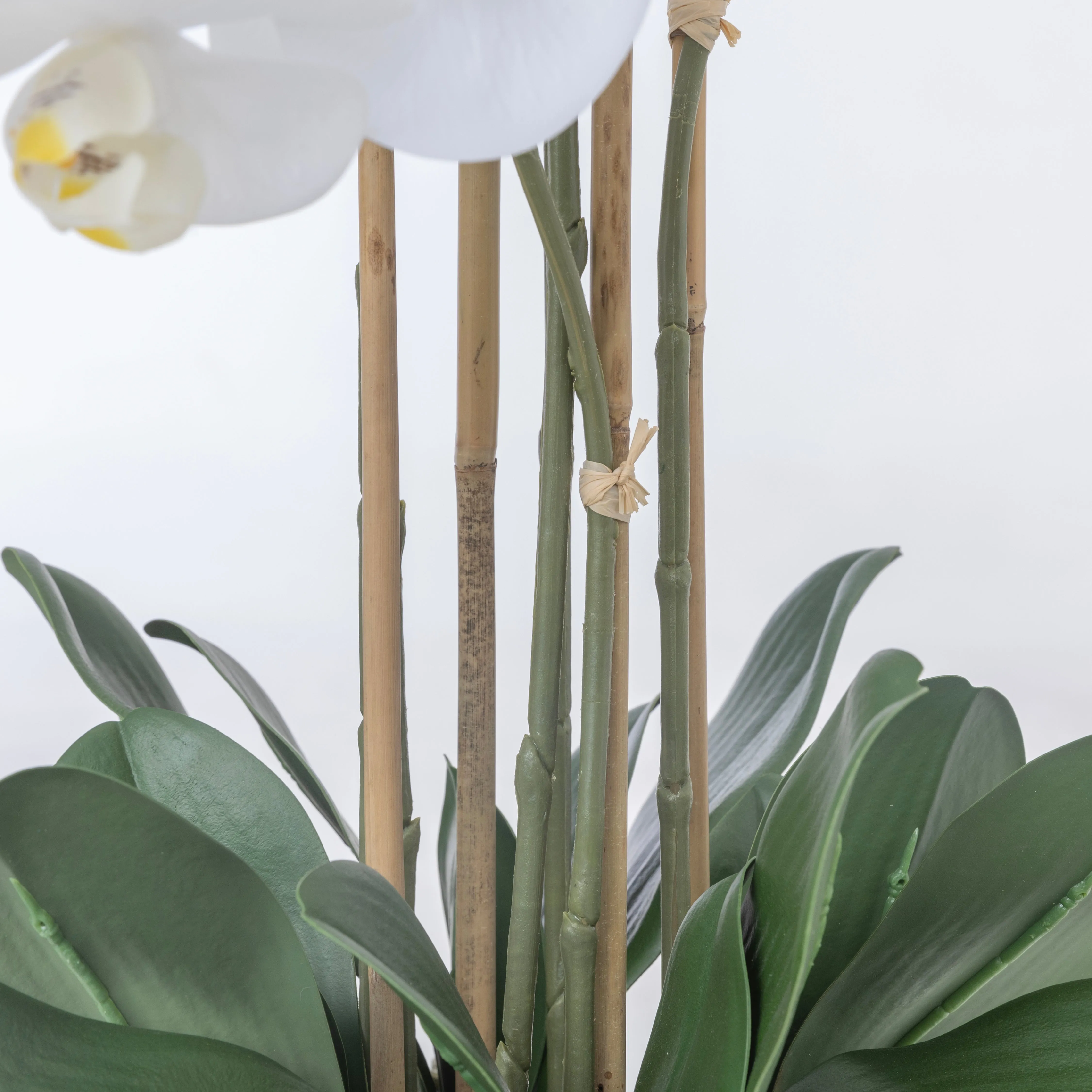 43" White Orchid Arrangement in a Tall Black Planter | Real Touch White Moth Orchids in a Black Planter