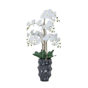 43" White Orchid Arrangement in a Tall Black Planter | Real Touch White Moth Orchids in a Black Planter