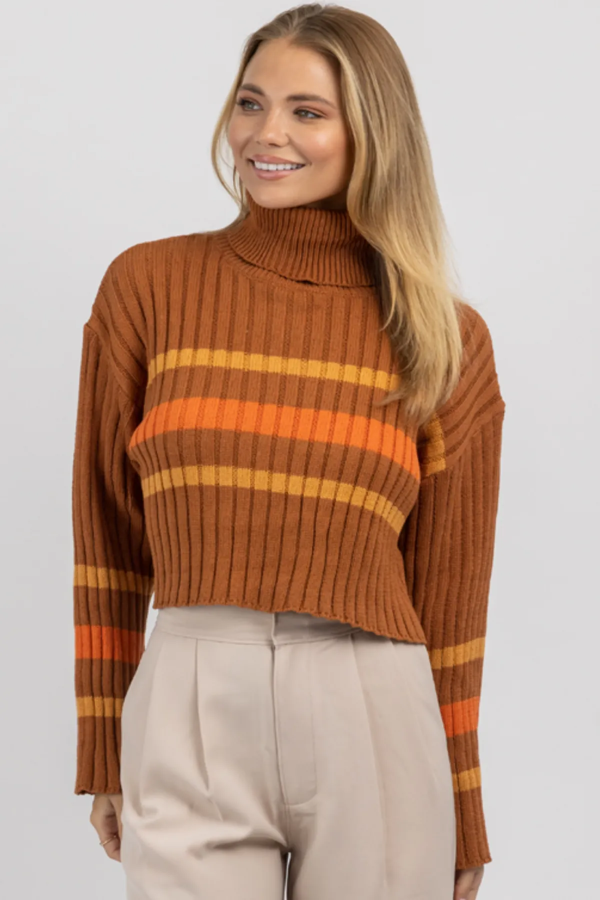 CINNAMON STRIPE TURTLENECK SWEATER