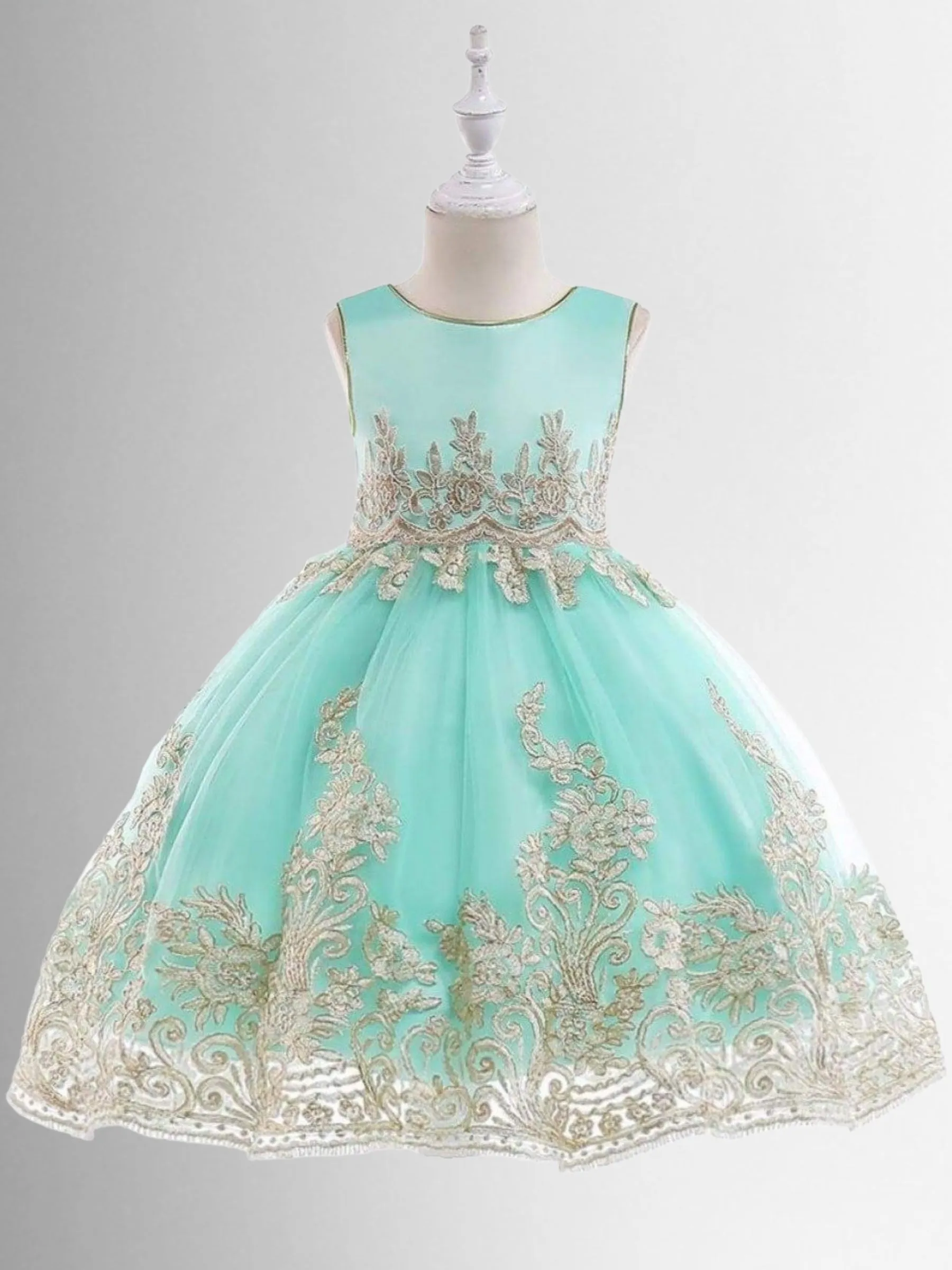 Elegant Flourish Lace Party Dress