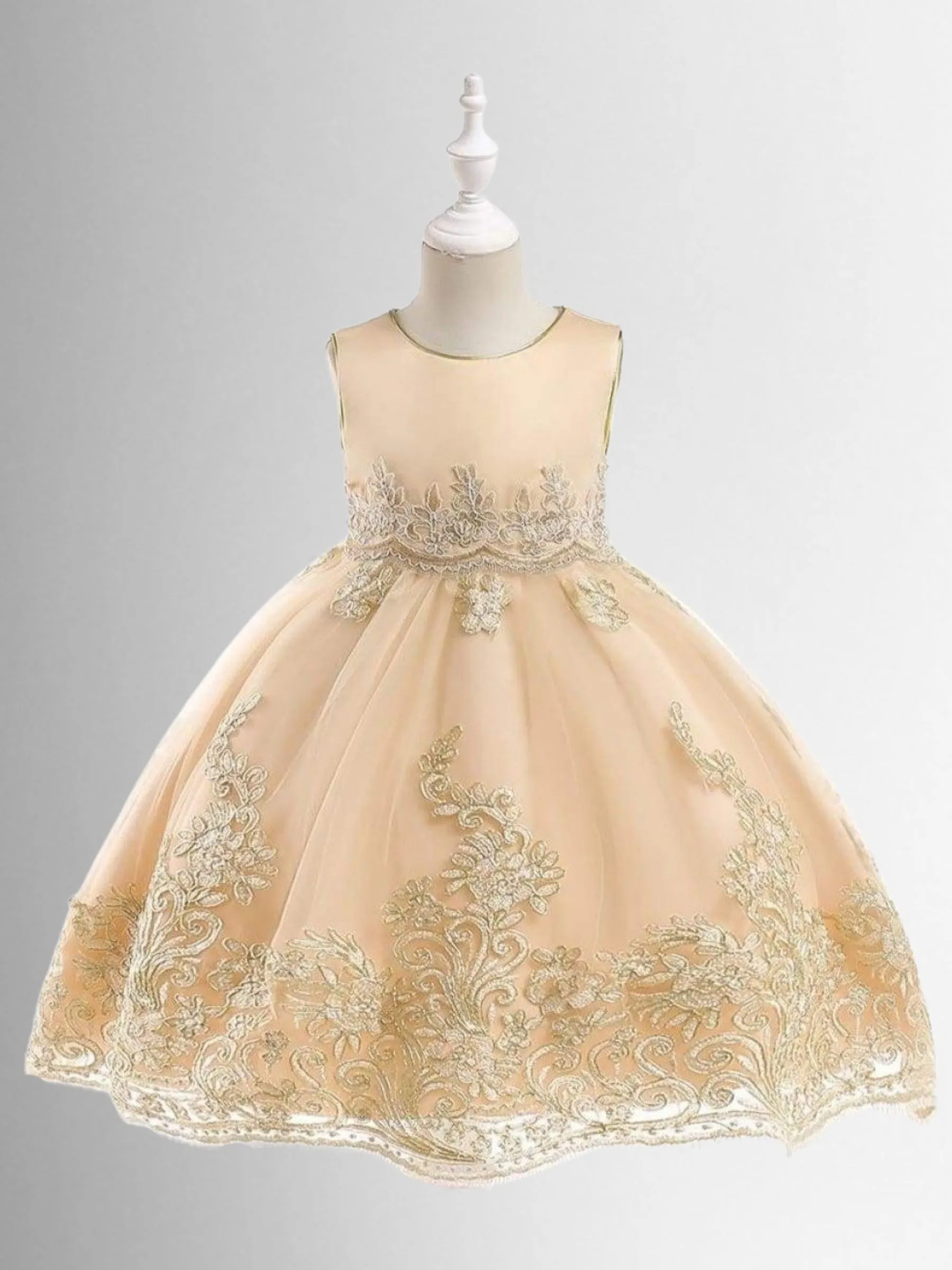 Elegant Flourish Lace Party Dress