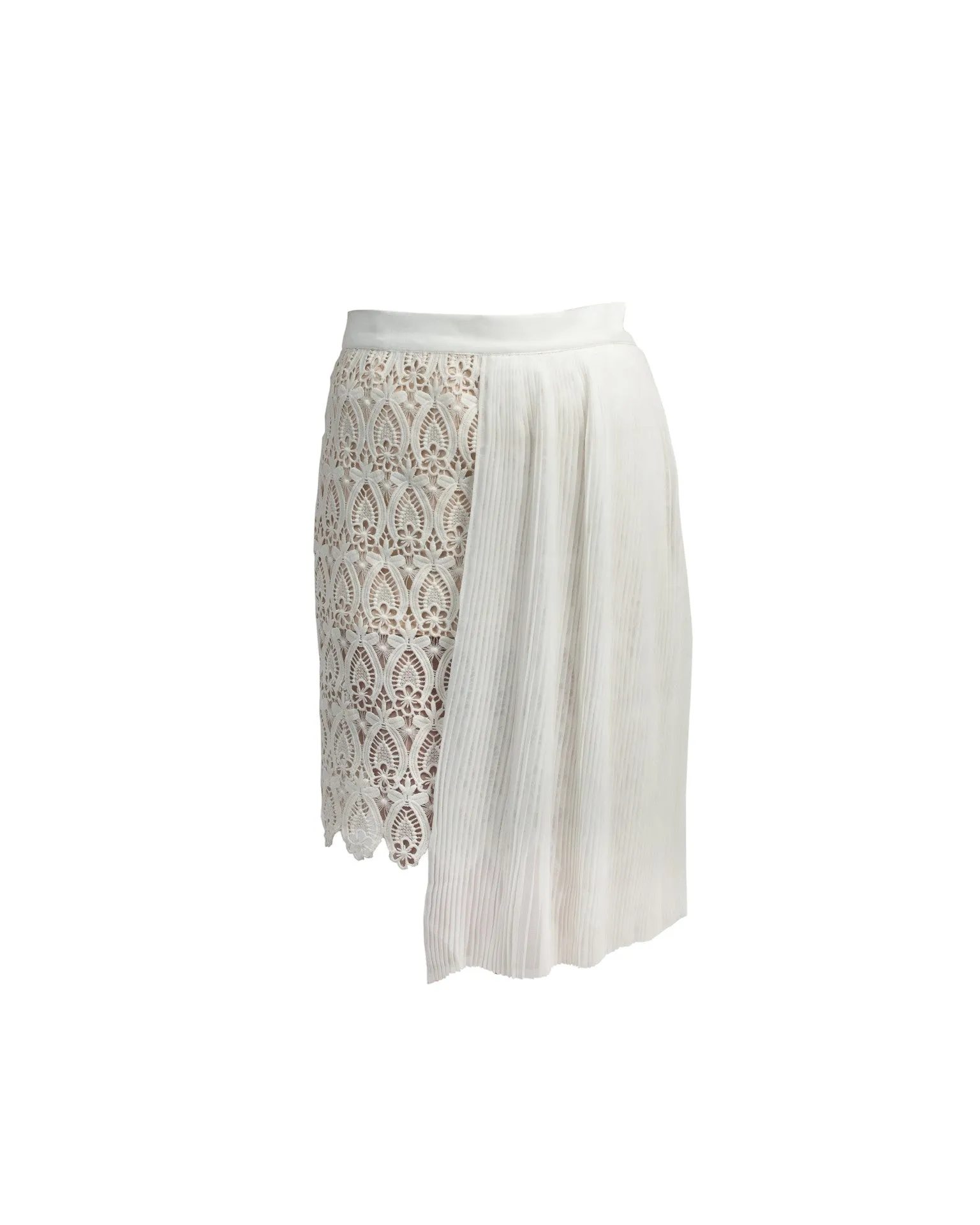 Lace skirt with Georgette pleated panel overlay